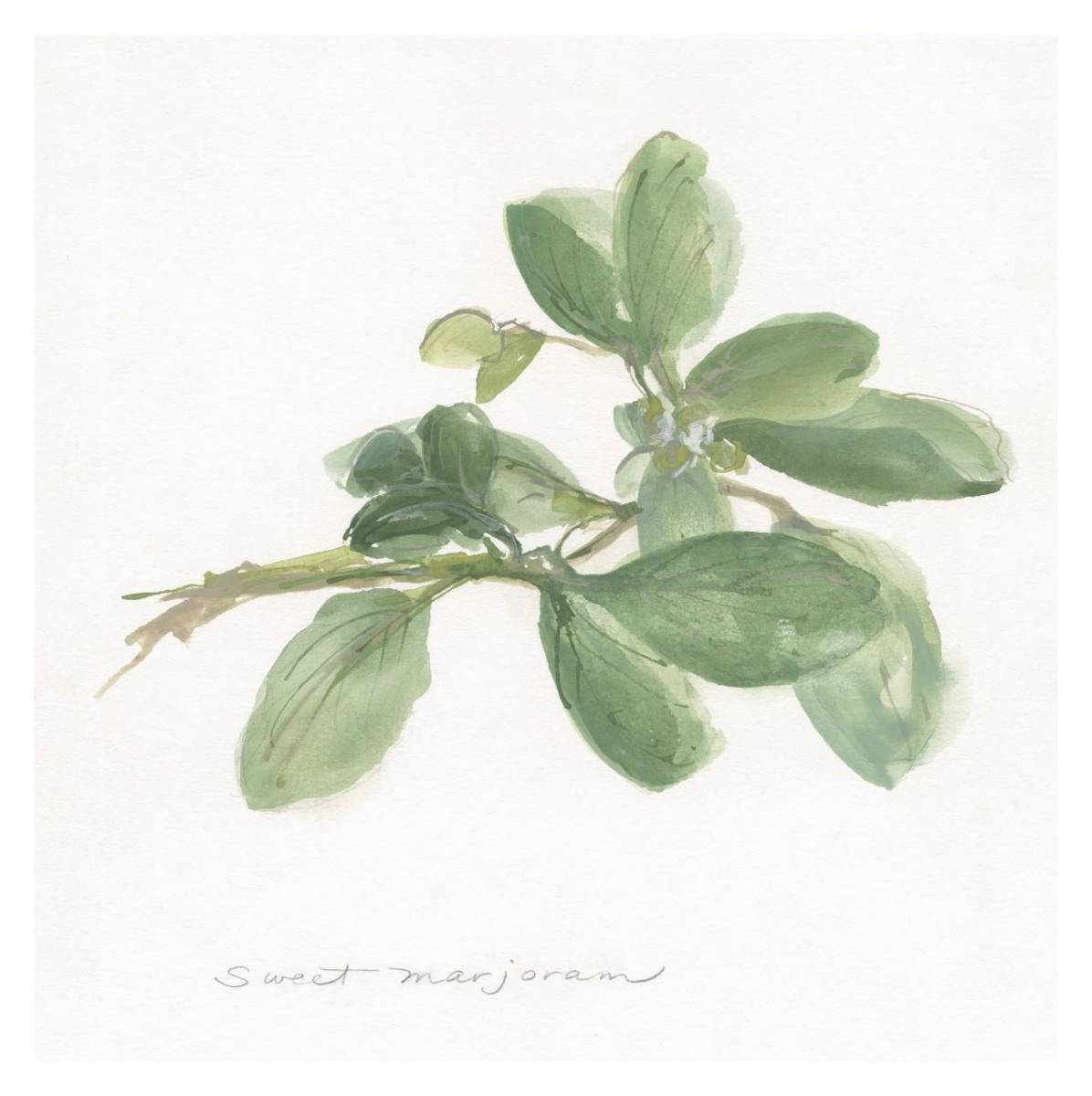 Sweet Marjoram -Paper Art-32''X32''