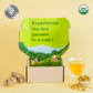 Organic Golden Turmeric Ginger