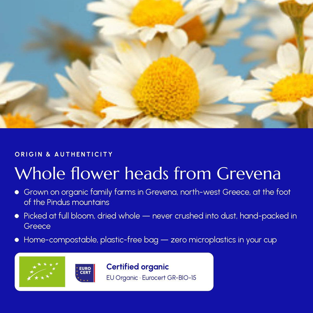 Greek Chamomile Tea (Grevena)