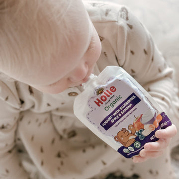 Holle Organic Blueberries, Apple & Banana Yogurt Pouches
