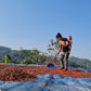HUAI CHOMPHU ANAEROBIC BLACK HONEY