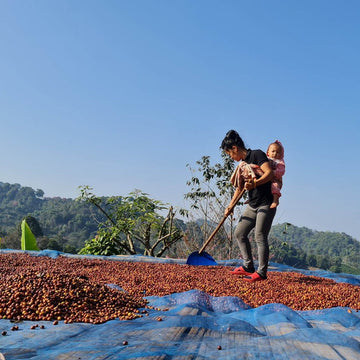 HUAI CHOMPHU ANAEROBIC BLACK HONEY