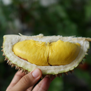 Premium Malaysian Musang King Durian (D197) - Whole Fruit 5-6lbs