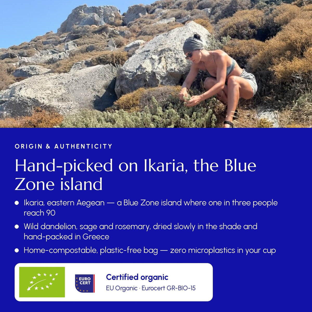 Ikaria Blue Zone Tea