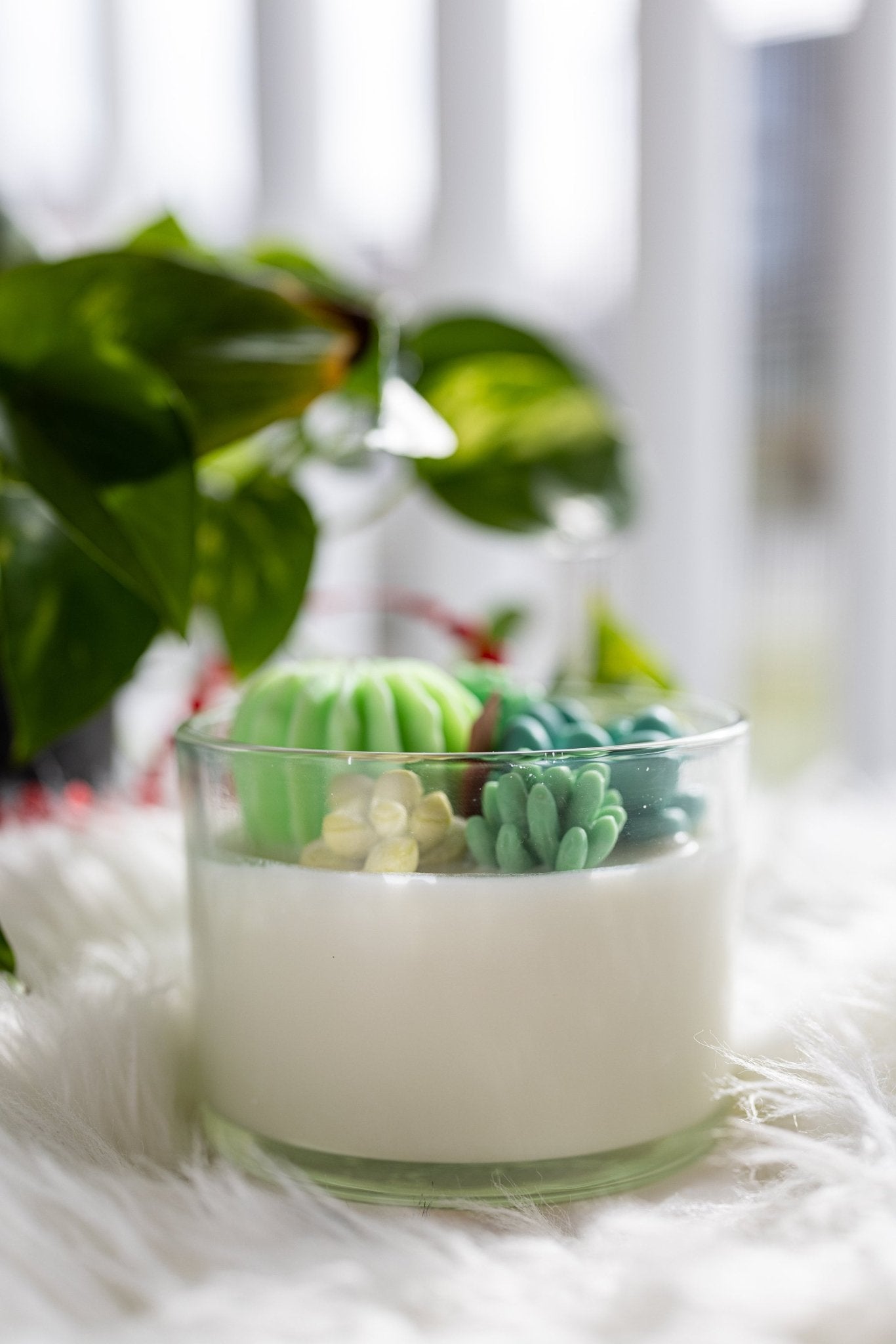 Succulent Cacti Candle with Glass Terrarium Garden Gift, Cactus Blossom Scent