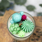Succulent Cacti Candle with Glass Terrarium Garden Gift, Cactus Blossom Scent