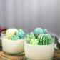 Succulent Cacti Candle with Glass Terrarium Garden Gift, Cactus Blossom Scent