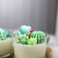 Succulent Cacti Candle with Glass Terrarium Garden Gift, Cactus Blossom Scent