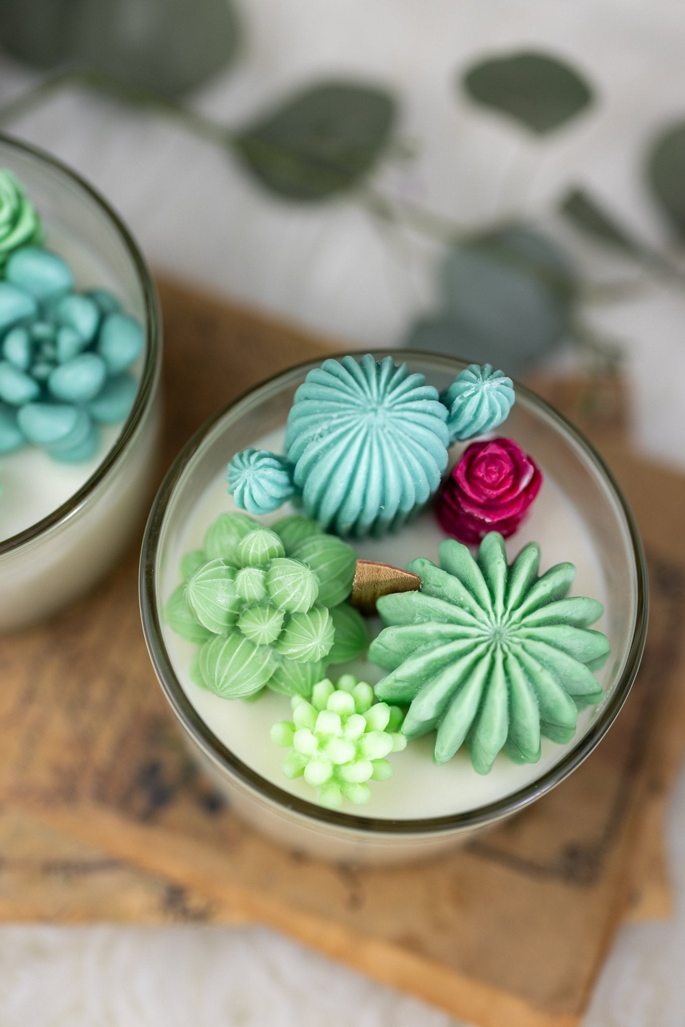 Succulent Cacti Candle with Glass Terrarium Garden Gift, Cactus Blossom Scent