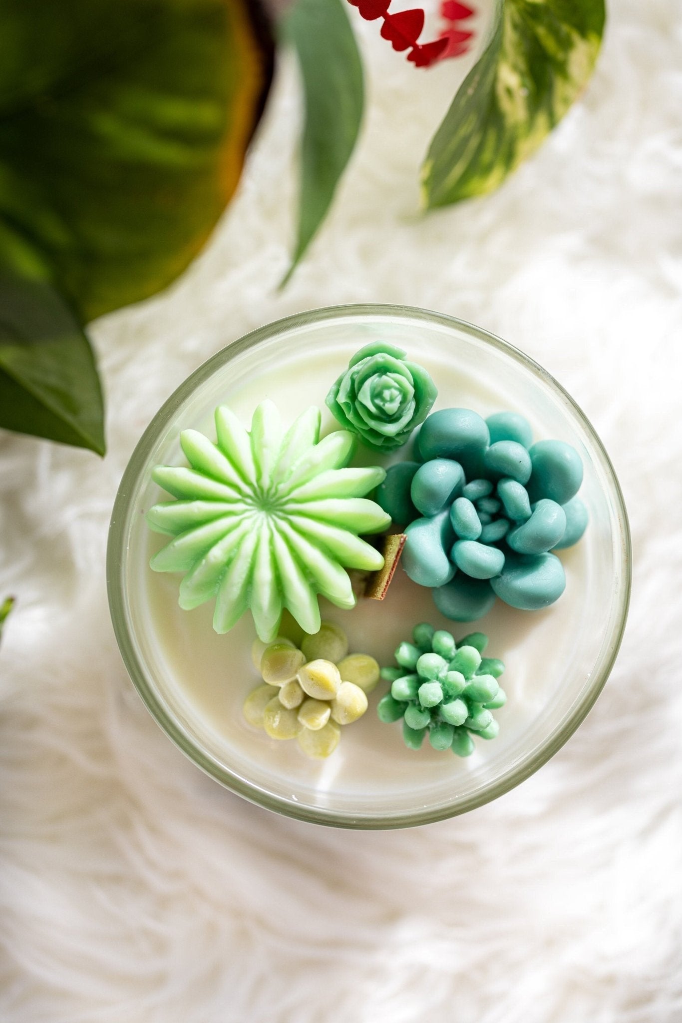 Succulent Cacti Candle with Glass Terrarium Garden Gift, Cactus Blossom Scent