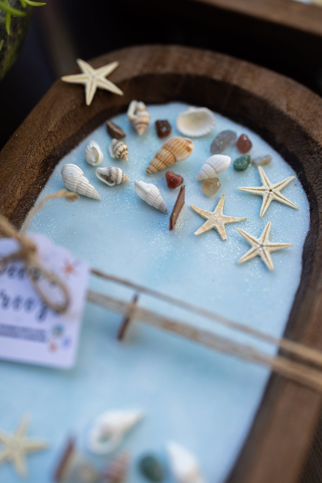 Handcrafted Seashell & Starfish Soy Wax Candle | Farmhouse Summer Decor | Triple Wooden Wicks