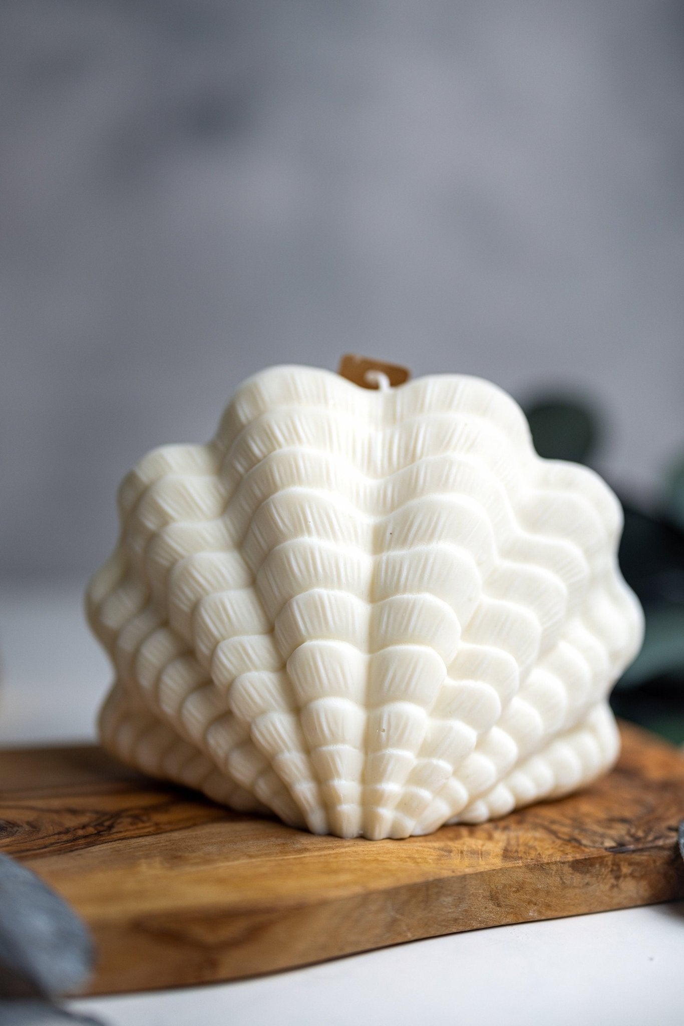 Clam Shell Soy Candle - Stylish Pillar Vegan Gift