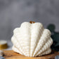 Clam Shell Soy Candle - Stylish Pillar Vegan Gift