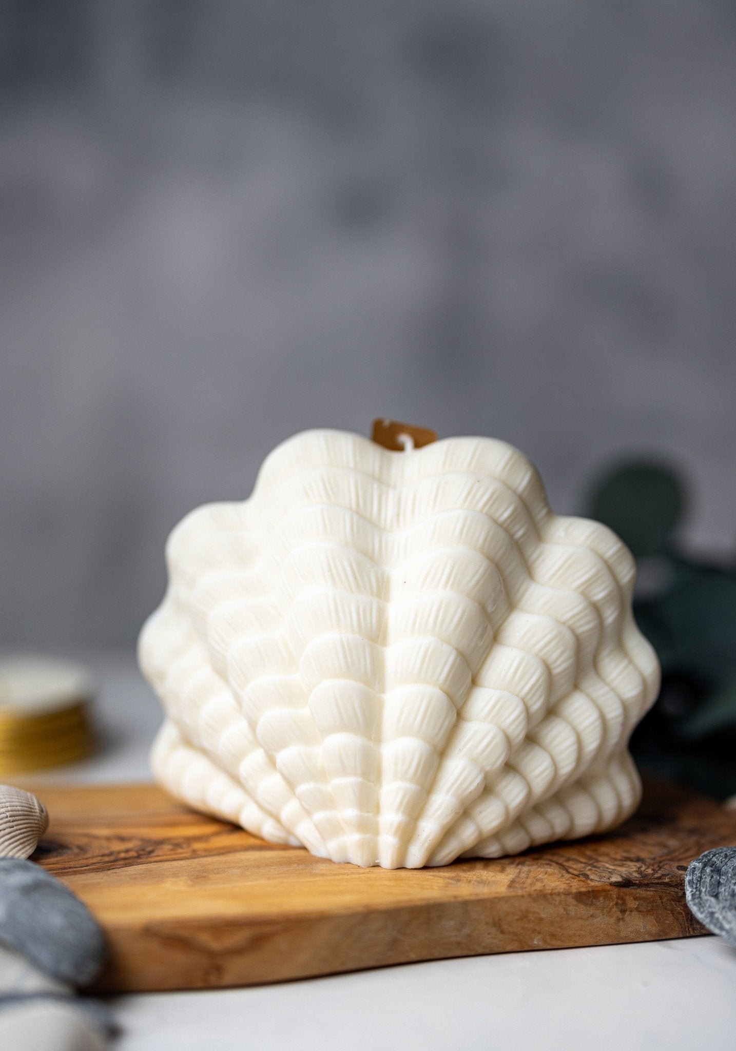 Clam Shell Soy Candle - Stylish Pillar Vegan Gift