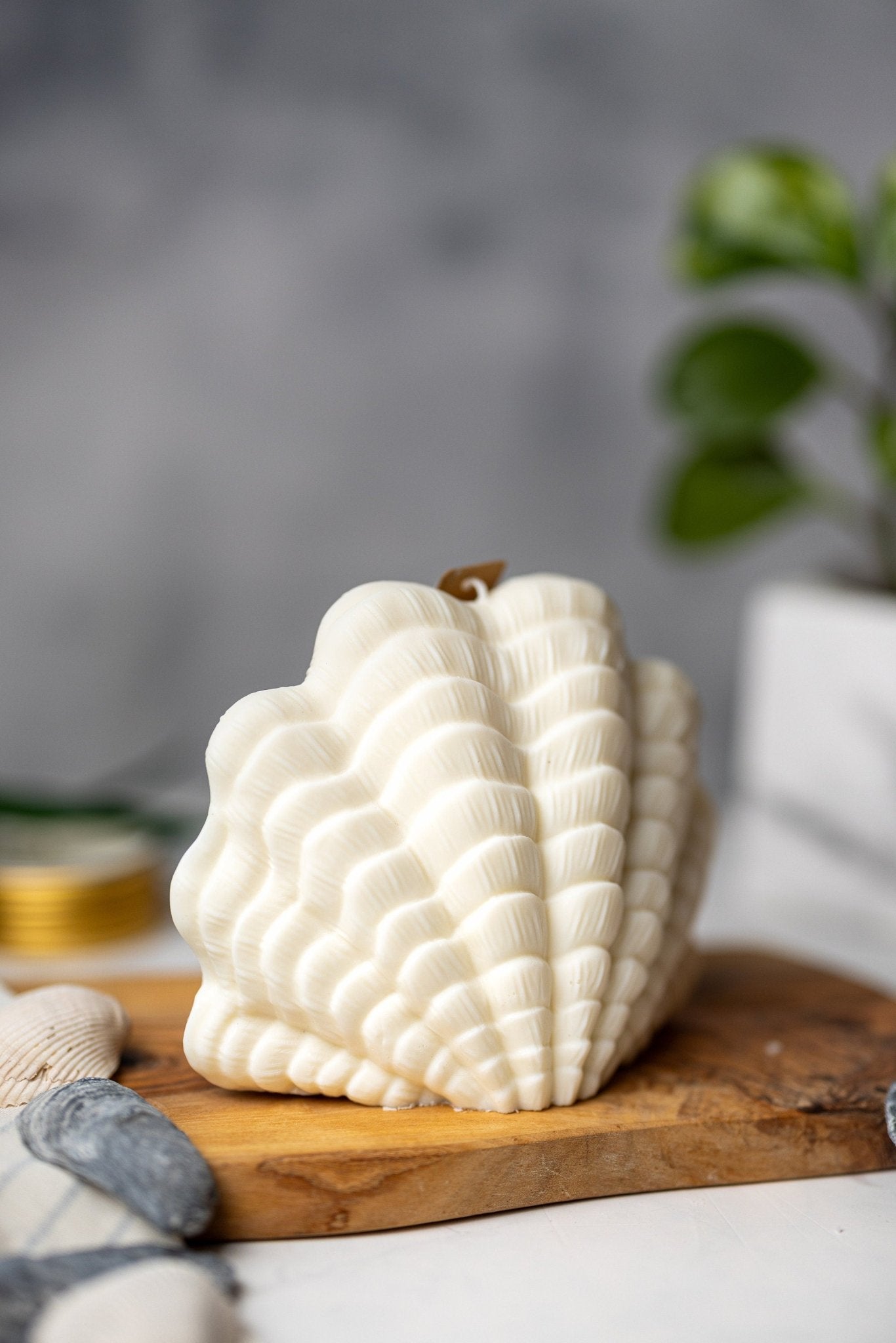 Clam Shell Soy Candle - Stylish Pillar Vegan Gift