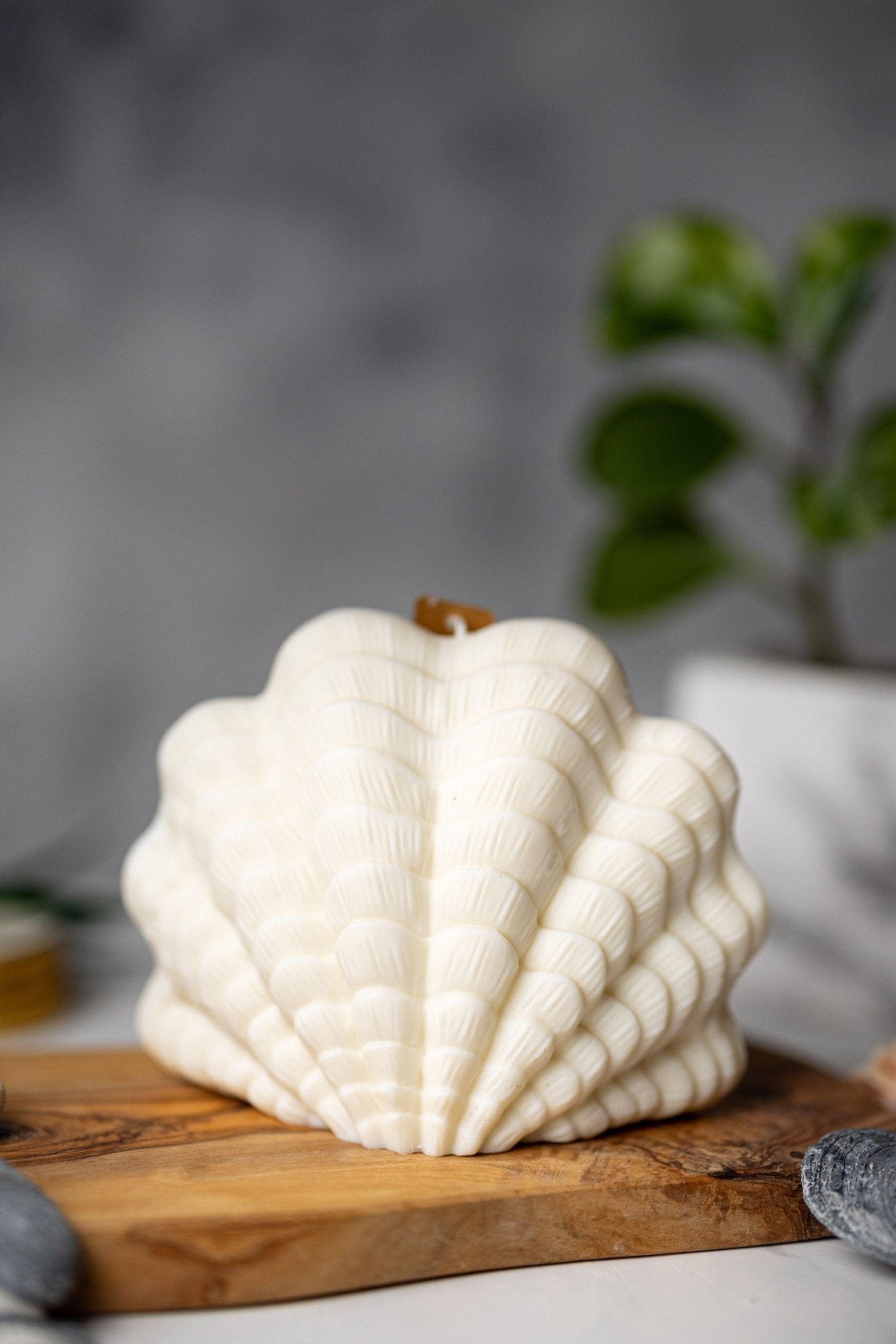 Clam Shell Soy Candle - Stylish Pillar Vegan Gift