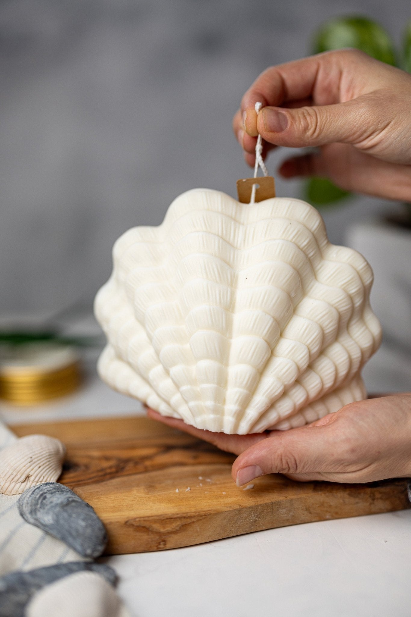 Clam Shell Soy Candle - Stylish Pillar Vegan Gift