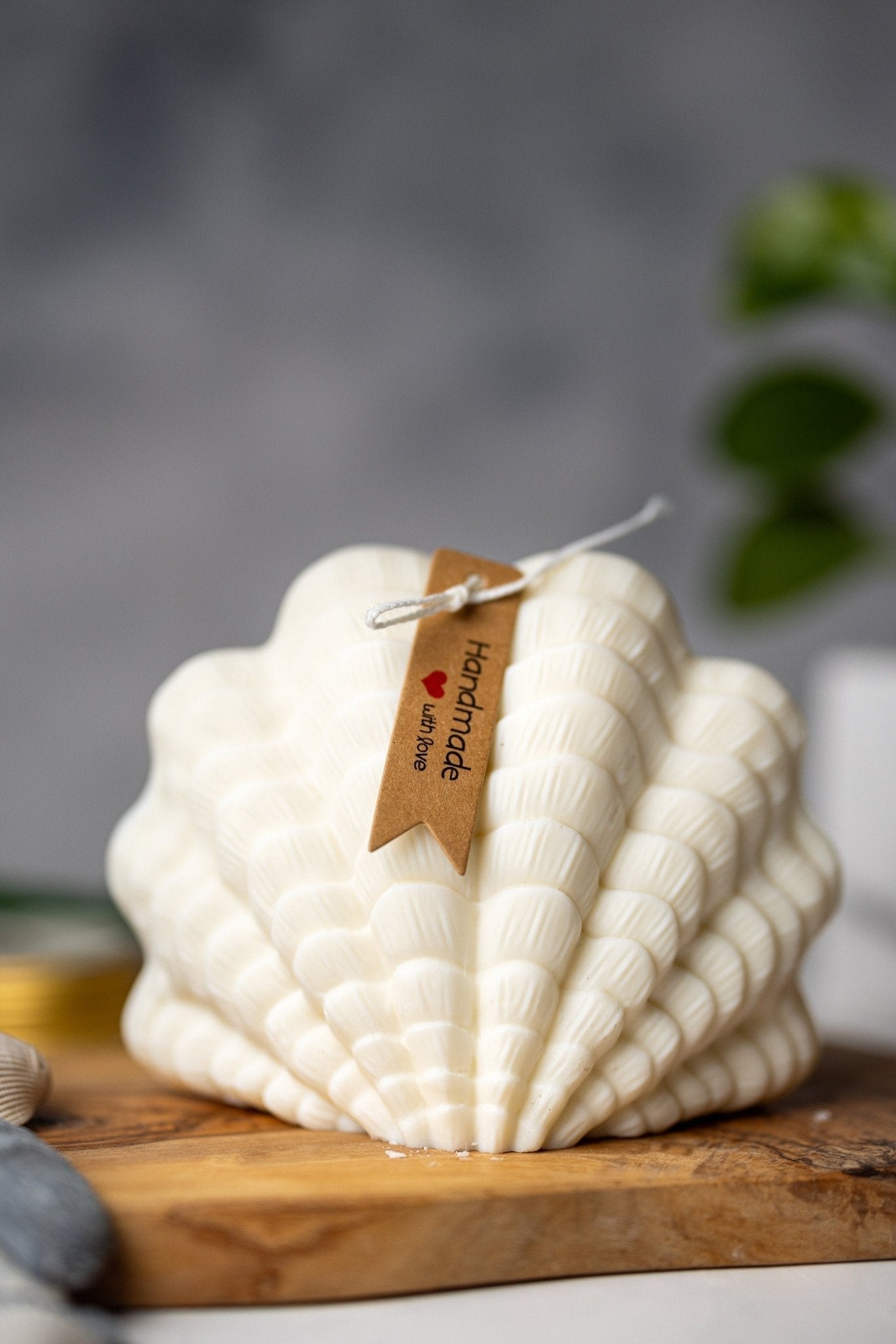 Clam Shell Soy Candle - Stylish Pillar Vegan Gift