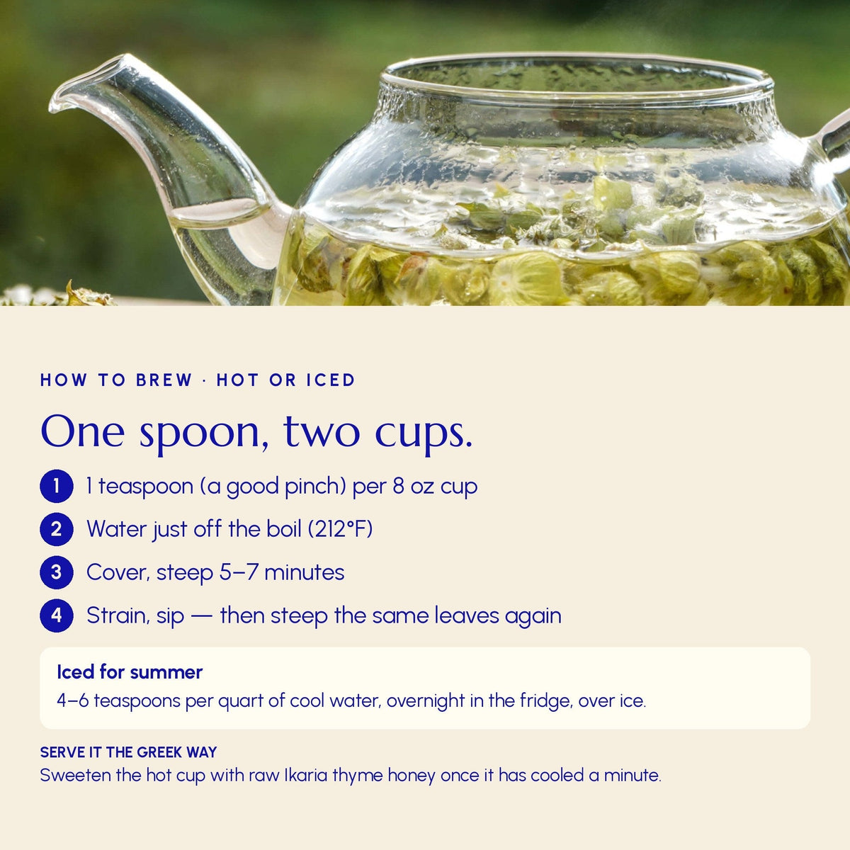 Immune Tea