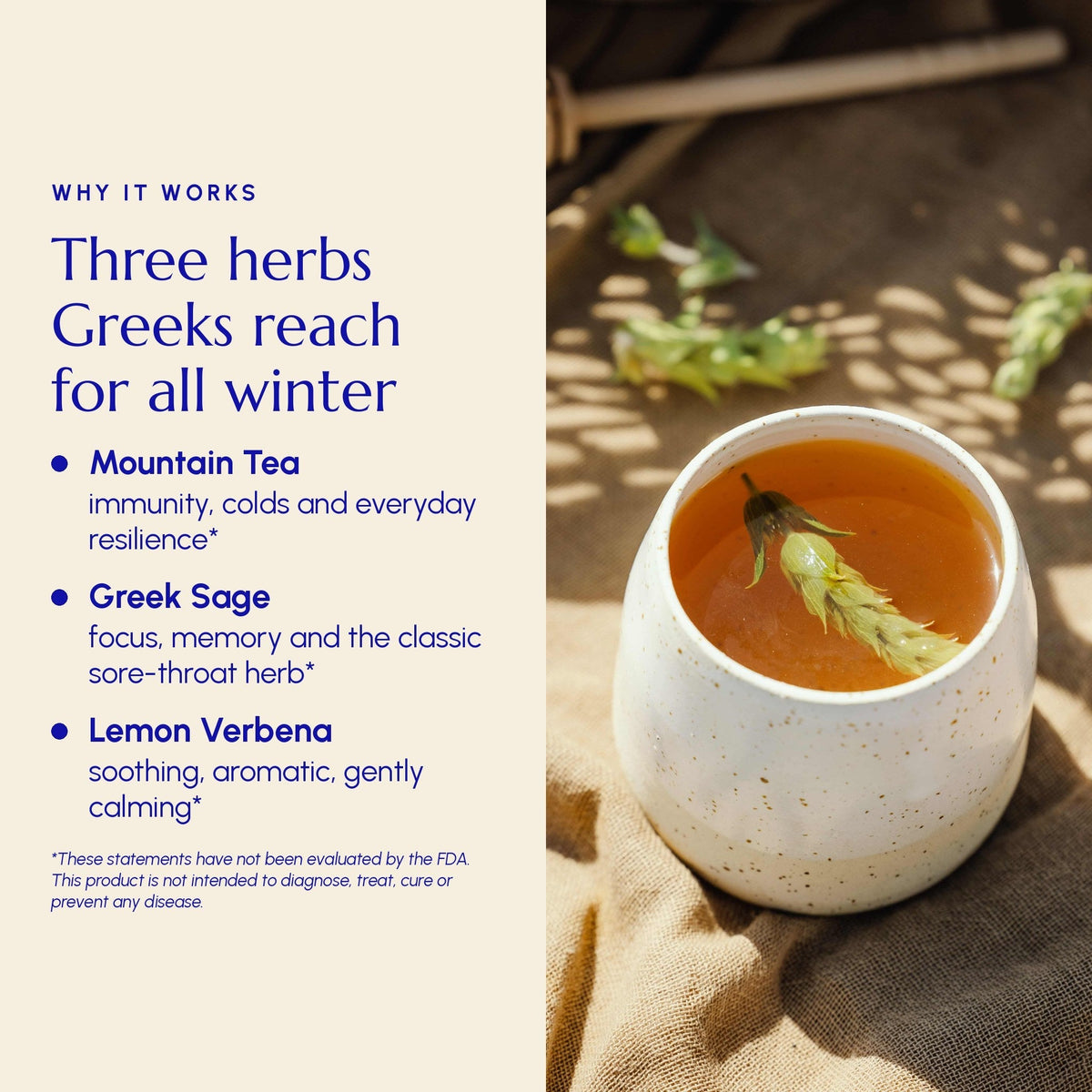 Immune Tea