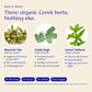 Immune Tea