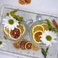 Dehydrated Lemon Slices | Dried Lemons for Bar & Decor