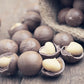 Macadamia Nut