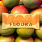 Floura Daily Fiber Bars