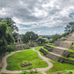 Mayan Water Half-Caff