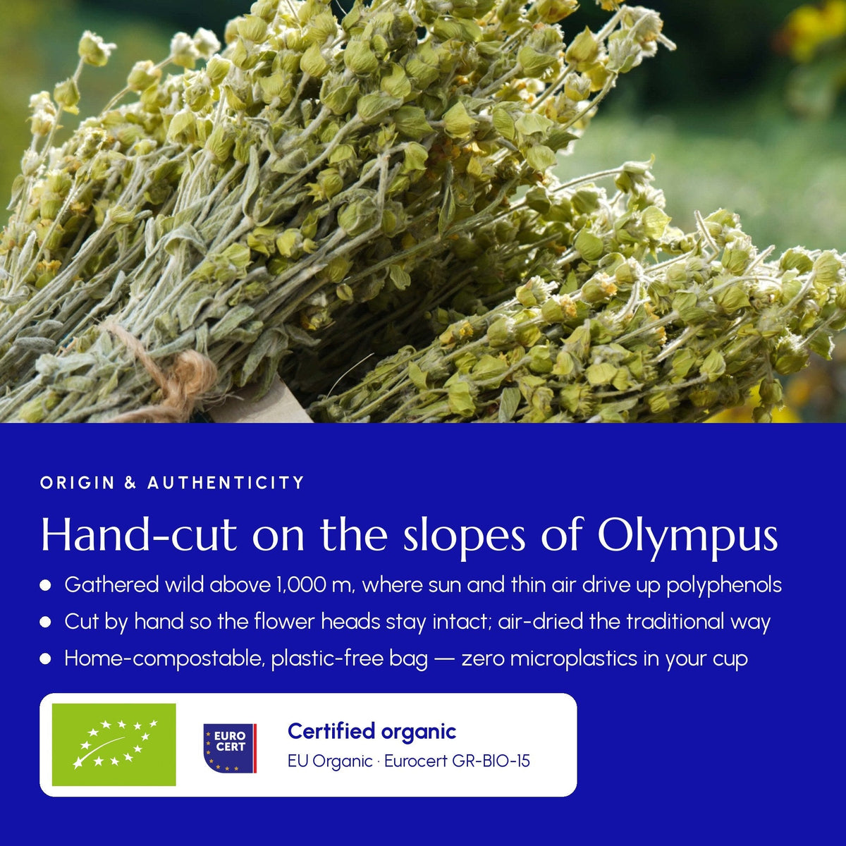 Mountain Tea (Mount Olympus)