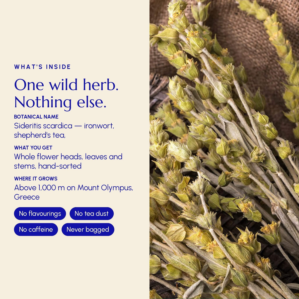 Mountain Tea (Mount Olympus)