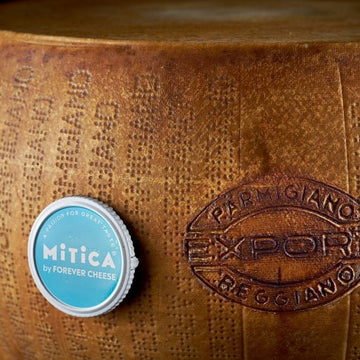 Fresh Grated Parmigiano Reggiano DOP Mitica® 24 months