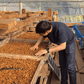 JAROON KHUN LAO NATURAL 10 DAYS (4OZ)