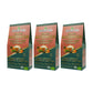 Organic Moringa Energy Tea - Peach Mint Apricot - Natural Coffee Alternative