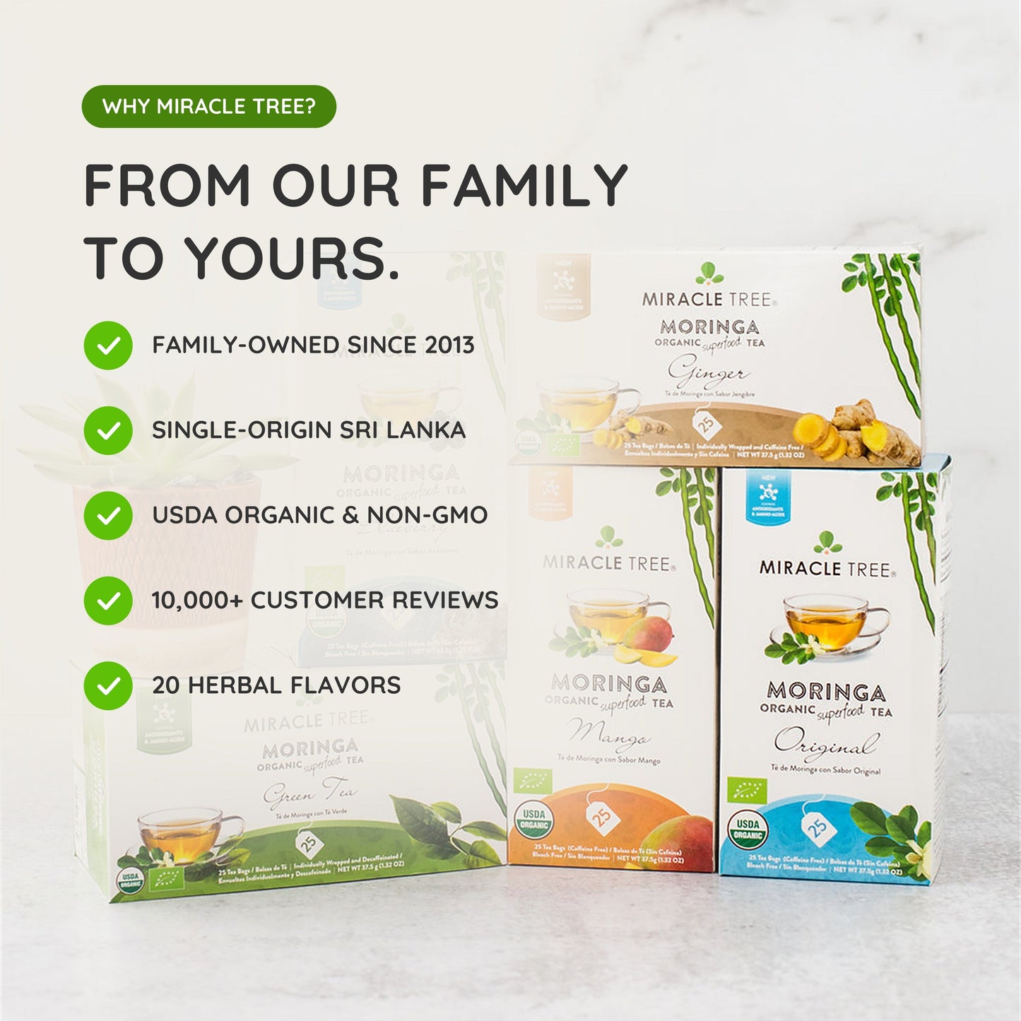 Organic Moringa Tea - Pumpkin Spice - Caffeine-Free Herbal Tea