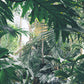 Rainforest Espresso