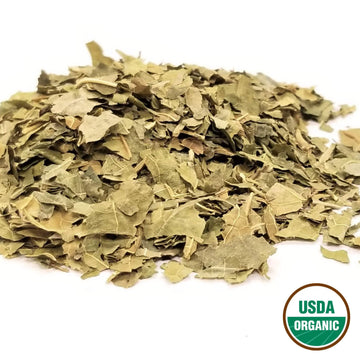 White Mulberry Leaf - Morus alba Folium - Sang Ye - Organic Grade