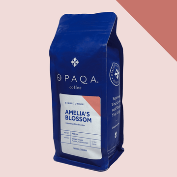 Colombian Pink Bourbon - Opaqa Amelia’s Blossom
