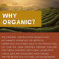 Green Rooibos Black Tea, Citrus Blend - Organic & Kosher