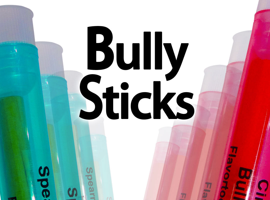 Bully Stick 4" - Revolutionary All Natural Birchwood Flavored Human Chewing Sticks | BiteMyWood