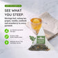 Organic Moringa Energy Tea - Grape Vanilla - Natural Coffee Alternative