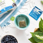 Organic Moringa Tea - Blueberry - Caffeine-Free Herbal Tea