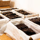 Burundi Vanilla Beans - Whole Grade A Vanilla Pods for Vanilla Extract and Baking
