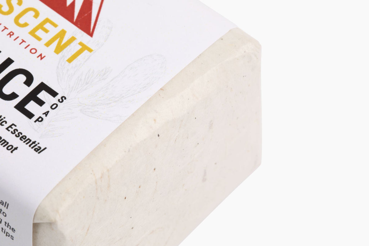 Wild-Harvested Spruce Soap, 6 oz Bar