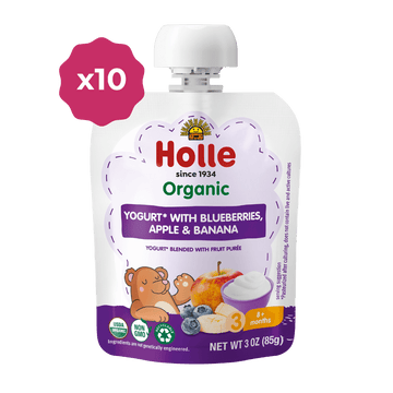 Holle Organic Blueberries, Apple & Banana Yogurt Pouches