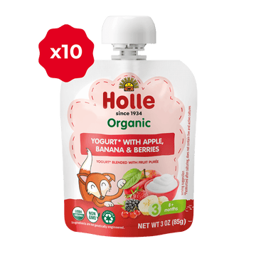 Holle Organic Apple, Banana & Berries Yogurt Pouches