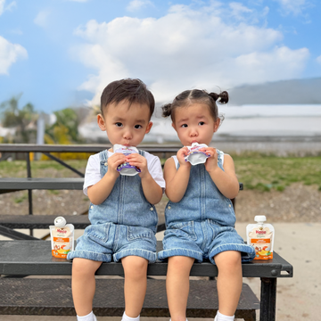 Holle Organic Mango Yogurt Pouches