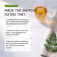 Organic Moringa Energy Tea - Peach Mint Apricot - Natural Coffee Alternative