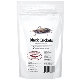 Newport Jerky Company Edible Insects (Jamaican Crickets)