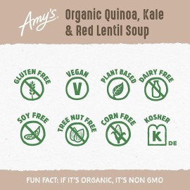 Amy's Soup, Organic Kale, Quinoa and Red Lentil, Vegan & Gluten Free, 14.4 oz